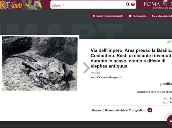 Drone journalism: si salvi chi può?